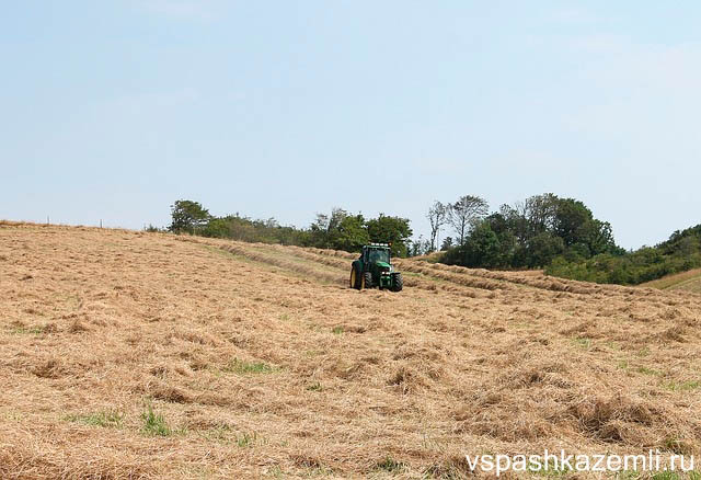 Трактор в поле осуществляет покос травы