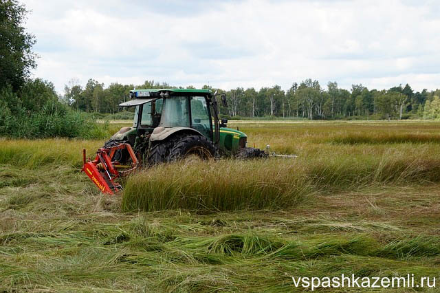 Трактор с косилкой осуществляет покос травы