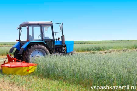 Покос травы с помощью трактора