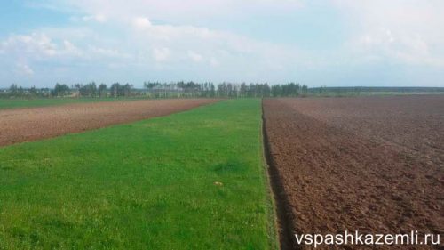 Вспаханное поле в Воронеже